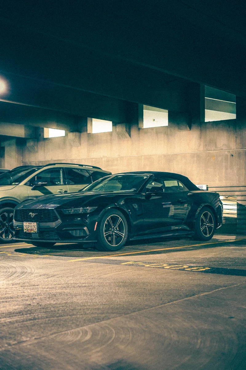 Mustang